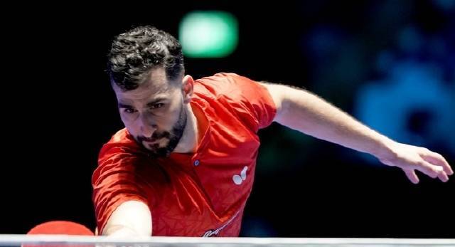 中国队力克葡萄牙队，张本智和状态火热的简单介绍